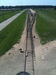 BirkenauTrainTracks